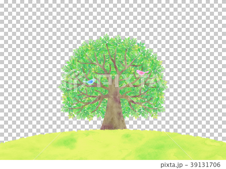 Big trees and small birds 39131706