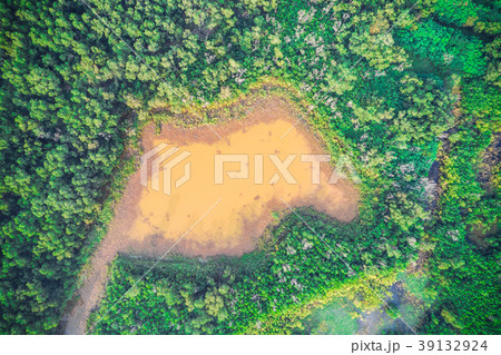 Beautiful aerial view of yellow pond surrounded by turquoise tre 39132924