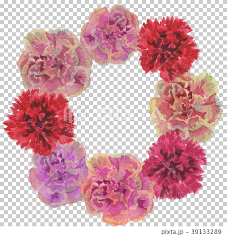 康乃馨 水彩畫 水彩 39133289