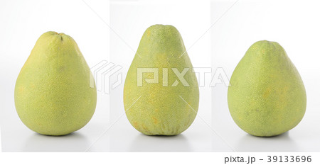 ユズ 柚 文旦 39133696