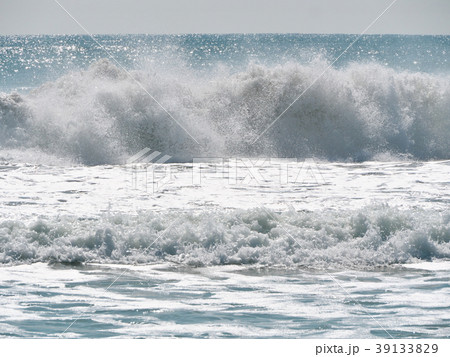波（渥美半島ー伊良湖岬　愛知県） 39133829