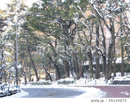 芝公園 芝公園 39134075