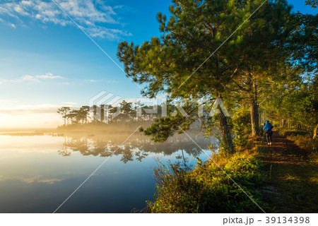 Fog rises over Lake at sunrise in Pine forest 39134398