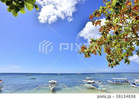 アロナビーチ 39134638