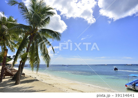 アロナビーチ 39134641