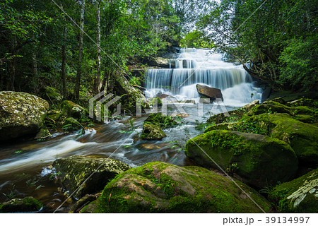 Waterfall in the tropical rainforest landscape 39134997