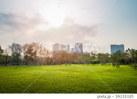Green grass field with building in Public Park 39135185
