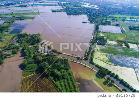 Aerial view preparation for rice paddy plantation 39135729