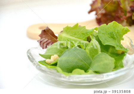 まな板にのった葉物野菜・アイスプラント・サンチュ・パクチー・サニーレタス 39135808