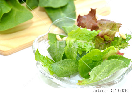 まな板にのった葉物野菜 アイスプラント サンチュ パクチー サニーレタスの写真素材