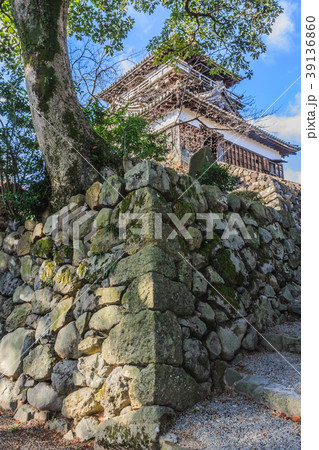 秋の丸岡城の天守の風景 39136860