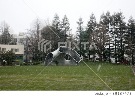 名残の雪 39137473