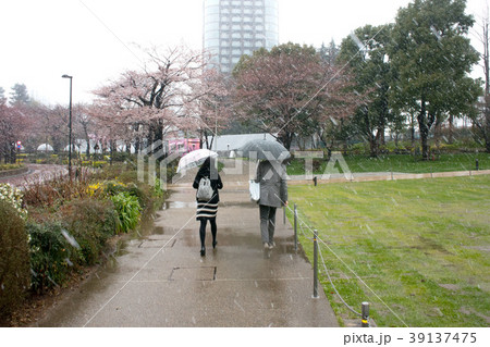 名残の雪 名残の雪 39137475