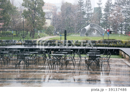 名残の雪 名残の雪 39137486