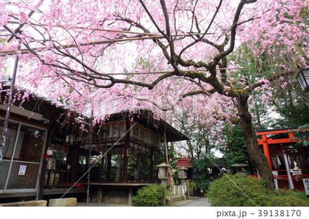京都　春の水火天満宮 39138170