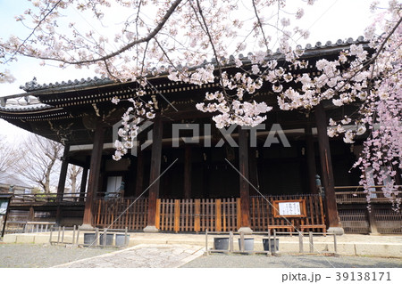 京都　春の立本寺 39138171