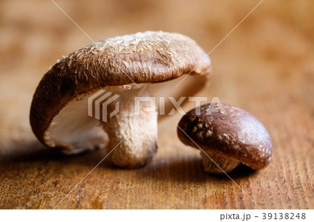 椎茸 椎茸 39138248