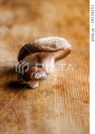 椎茸 椎茸 39138251
