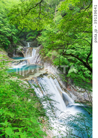 新緑山梨_七ツ釜五段の滝 新緑山梨_七ツ釜五段の滝 39139641