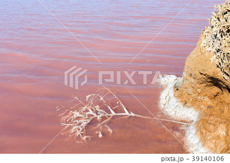 Pink salty Syvash Lake, Ukraine Pink salty Syvash Lake, Ukraine 39140106
