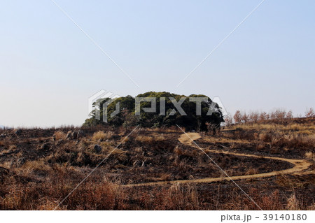 Mine秋吉台ジオパーク，長者ヶ森【山焼き後】 39140180