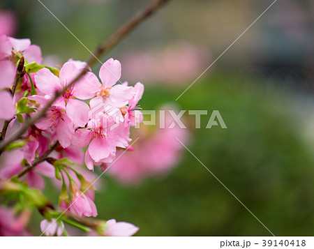 台湾 台北 台北市 39140418