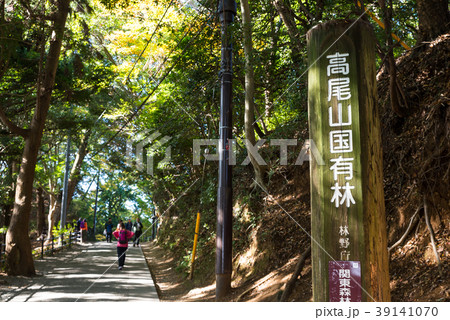 高尾山 (東京都八王子市) ※2017年11月撮影 高尾山 (東京都八王子市) ※2017年11月撮影 39141070