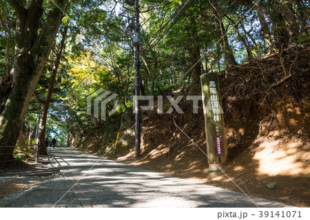 高尾山 (東京都八王子市) ※2017年11月撮影 高尾山 (東京都八王子市) ※2017年11月撮影 39141071