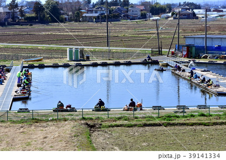 釣り堀の風景 39141334