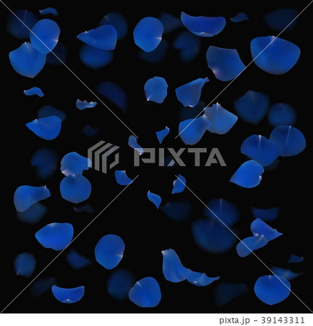 Blue roses petals are falling down. Blue roses petals are falling down. 39143311