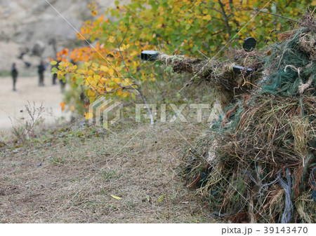 Camouflage Hunter or soldier hiding in bushes in c 39143470