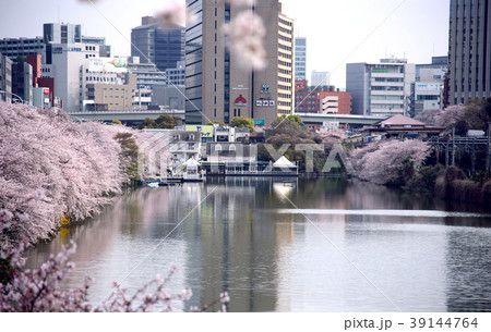 JR飯田橋駅付近の外堀と桜|風景写真|東京 日本 JR飯田橋駅付近の外堀と桜|風景写真|東京 日本 39144764