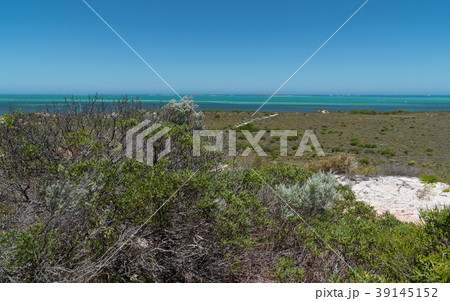 Coast, Cervantes, Western Australia 39145152