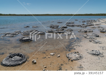 Nambung National Park, Western Australia 39145157