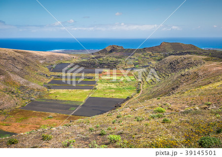field in rural area with blue sky near Haria 39145501