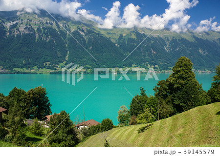 scenery around Lake Brienz of Jungfrau region scenery around Lake Brienz of Jungfrau region 39145579