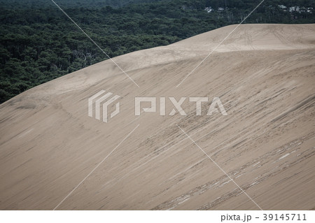 View from Dune of Pilat - the largest sand dune View from Dune of Pilat - the largest sand dune 39145711