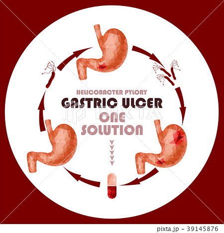 Realistic faceted low poly human stomach Realistic faceted low poly human stomach 39145876