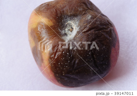 Rotten apple isolated on white background 39147011