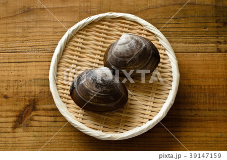 ほっき貝 39147159