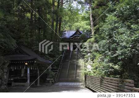 宝登山神社にて 39147351