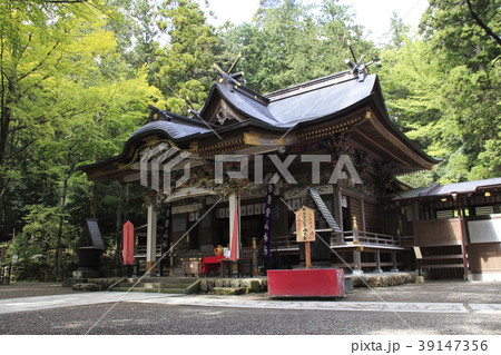 宝登山神社(拝殿) 宝登山神社(拝殿) 39147356