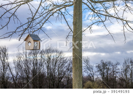 Little Birdhouse hanging in a tree Little Birdhouse hanging in a tree 39149193
