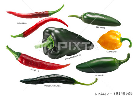 Mexican chile peppers, paths Mexican chile peppers, paths 39149939