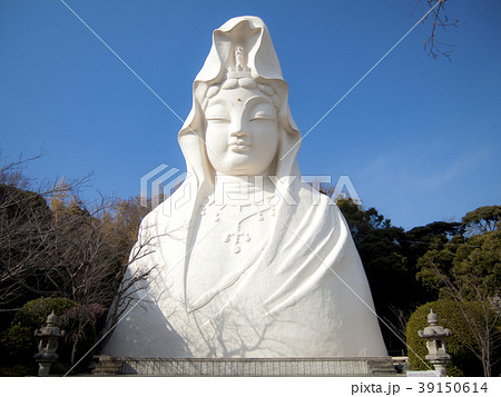 大船観音 39150614