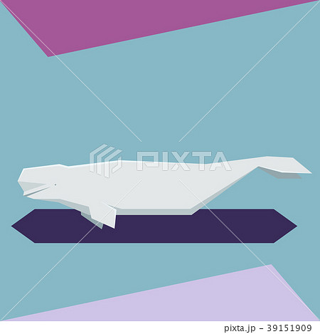 Flat design Beluga whale Flat design Beluga whale 39151909