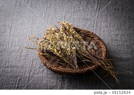 センブリ 39152634