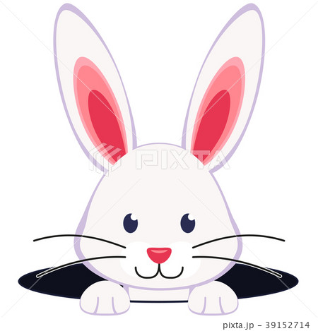 Colorful cartoon rabbit face hole icon. 39152714