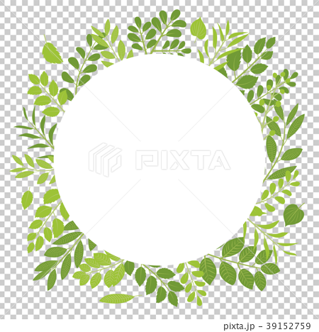 Frame Material Of Fresh Green Leaf Stock Illustration