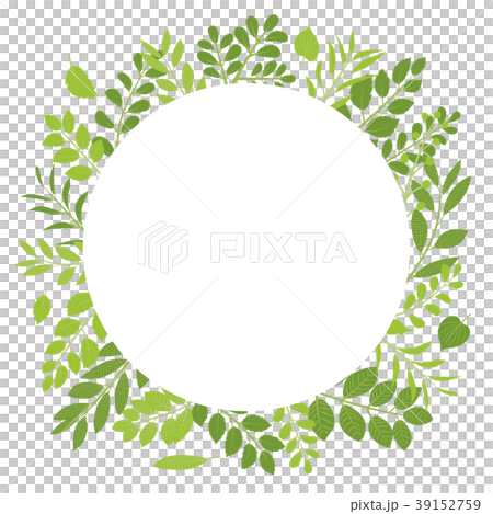 Frame Material Of Fresh Green Leaf Stock Illustration